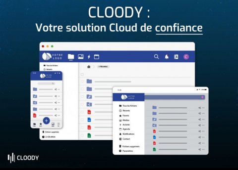 Solution cloud sécurisée professionnel à Roanne 