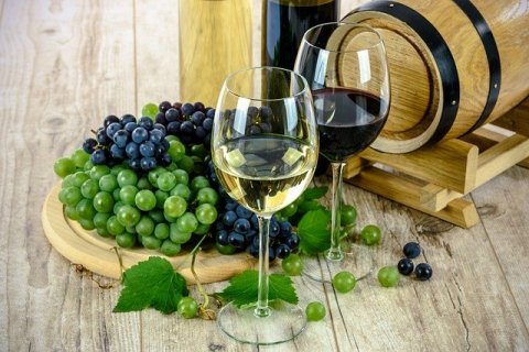 caviste spécialisé dans la vente de vins Bio à Vourles