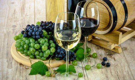 caviste spécialisé dans la vente de vins Bio à Vourles